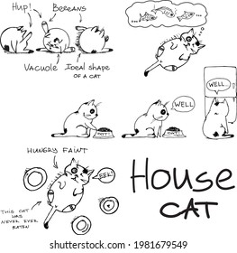 House cat illustrations set. Comics about funny habits of house cat. Vector drawings of cute animal and bubble text   