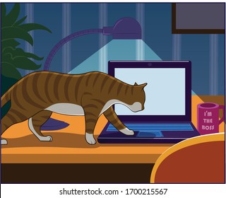 A house cat wanders into an at home work space.