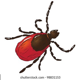 House dust mite allergy. Vector illustration done in manual mode.