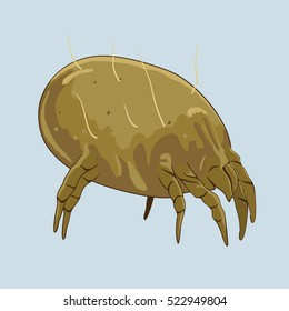 House Dust Mite - Microscopic Bugs. Vector Illustration