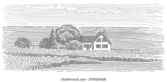 House in field line art illustration. Rural countryside monochrome sketch. Vector. 