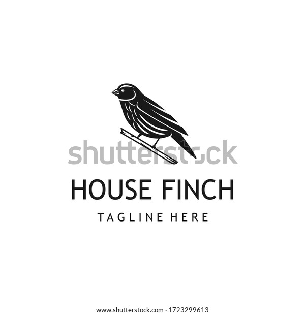 House finch bird logo design.\
Awesome a house finch bird silhoutte. A house finch bird\
logotype.