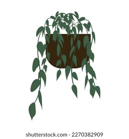 A house flower in a pot. Brown vase for the plant. Green plant on white background. Vector illustration in flat design