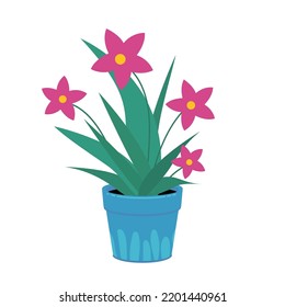 Flor de casa en la olla. ilustración vectorial aislada en fondo blanco. Plantas modernas de estilo plano.