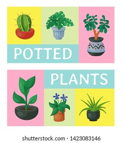 House flowers indoor floriculture poster vector illustration. Nature home decoration gardening. Indoor plants in flowerpot beauty decorative flora. Cozy succulent foliage exotic garden houseplant