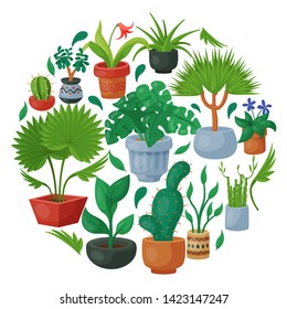 House flowers indoor floriculture round pattern vector illustration. Nature home decoration gardening. Indoor plants in flowerpot beauty decorative flora. Cozy succulent foliage exotic garden