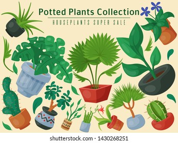House flowers indoor floriculture super sale poster vector illustration. Nature home decoration gardening. Indoor plants in flowerpot beauty decorative flora. Foliage exotic garden houseplant.