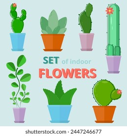Casa de flores en macetas de diferentes colores. Plantas caducifolias y espinosas con flores florecientes. Set. Vector.