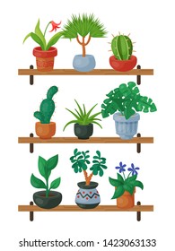 House flowers shelf indoor floriculture vector illustration. Nature home decoration gardening. Indoor plants in flowerpot beauty decorative flora. Foliage exotic garden houseplant table.