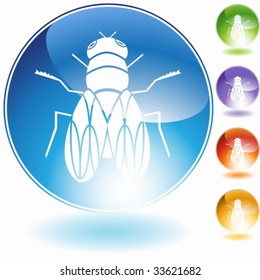 cráneo de mosca