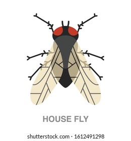 House fly flat icon on white transparent background. You can be used house fly icon for several purposes.