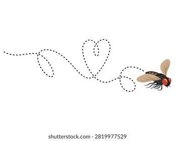 House Fly Flight Route Illustration
