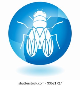 cristal de la mosca
