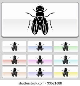 house fly glide