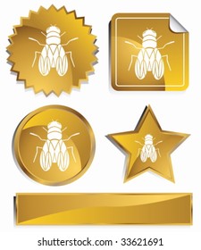 oro de mosca doméstica
