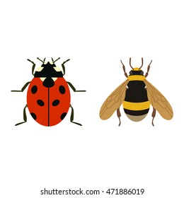 House fly insect and cartoon black fly insect