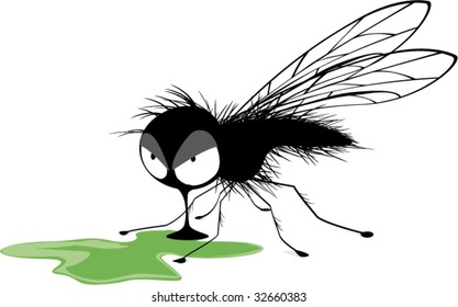 House fly insect feeds waste. Flying insect. vector illustration