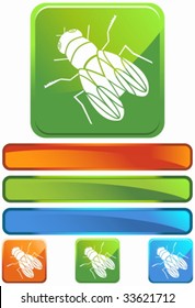 house fly square glossy