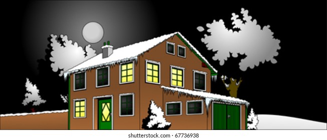 house with garden in the winter night (vector)