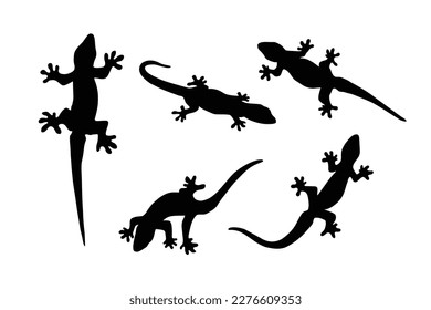 House gecko silhouette vector image