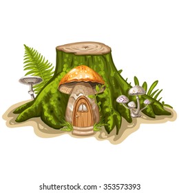 House For Gnome Made From Mushroom