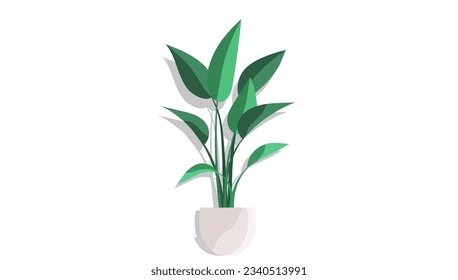 House and home plant. Vector illustration. A houseplant can transform any room decoration gardening project When it comes to room decoration gardening, placement plants in decorative containers