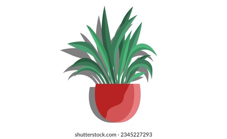 House and home plant. Vector illustration. An interior potted plant can serve as unique element in trendy home decor with plants The choice home plant in flowerpot can be guided by your overall room