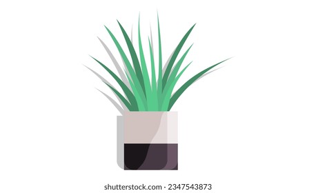 House and home plant. Vector illustration. A houseplant in stylish planter and pot is more than plant its part your decor The selection and placement plants in decorative containers can make