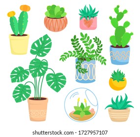 House indoor plant, potted ceramic set, flat cartoon flower. Succulents and house plants, cactus collection, monstera, aloe. Growing green sprouts rising from pot. Isolated vector illustration