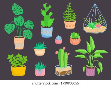 House indoor plant, potted ceramic set, flat cartoon flower. Succulents and house plants, cactus collection, monstera, aloe. Isolated vector illustration on dark background