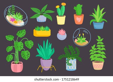 House indoor plant, potted ceramic set, flat cartoon flower. Succulents in florarium, cactus, house plants collection. Growing green sprouts in pot. Isolated vector illustration on dark background