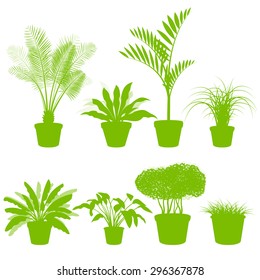 House indoor plants in pots set vector background green concept