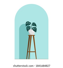 House indoor plants vector illustration