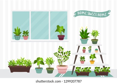 House indoor vector plants and nature homemade flowers in pot interior decoration houseplant natural tree flowerpot illustration. Natural green gardening blossom foliage. - Images vectorielles
