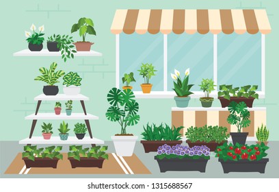 House indoor vector plants and nature homemade flowers in pot interior decoration houseplant natural tree flowerpot illustration. Natural green gardening blossom foliage. - Images vectorielles
