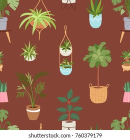 House indoor vector plants and nature homemade flowers in pot interior decoration houseplant natural tree illustration. seamless pattern background.