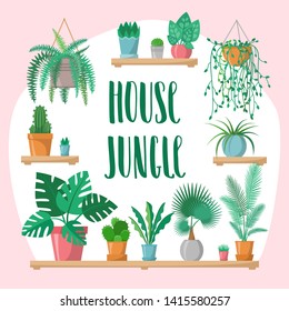 House jungle phrase with home plants collection in flat style, modern calligraphy sign and indoor plants in colorful pots on shelves, green set, lettering, palm, cactus, fern, vector greenery set