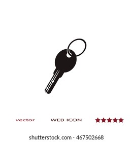 House key, vector icon