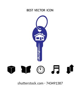 House key, vector icon