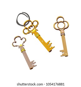 house key vector icon on the white background