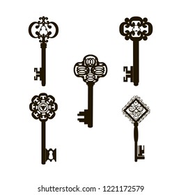 house key vector icon on the white background