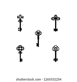 house key vector icon on the white background