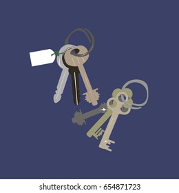 house key vector icon on the blue background