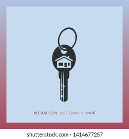 House key, vector icon, web design element