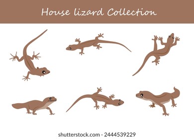 house lizard collection. Vector illustration. Isolated on white background.
