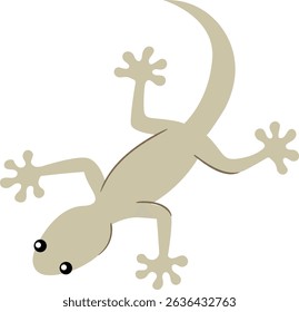 House Lizard Vector Illustration Stock