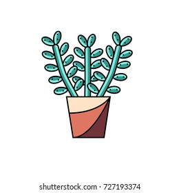 House lucky plant flat line vector icon on isolated white background. Stylized illustration of money tree in pot. Potted succulent image. 