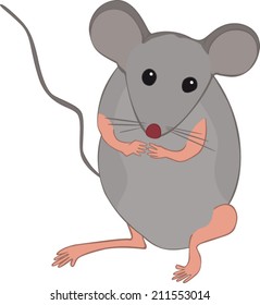 house mouse