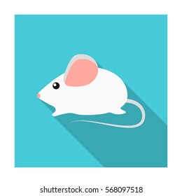 House mouse icon of vector illustration for web and mobile