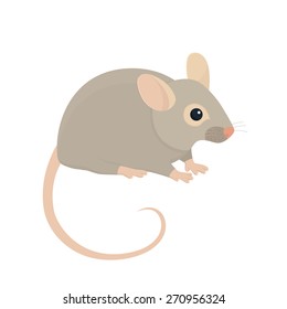 House Mouse - Illustration Isolated on White Background